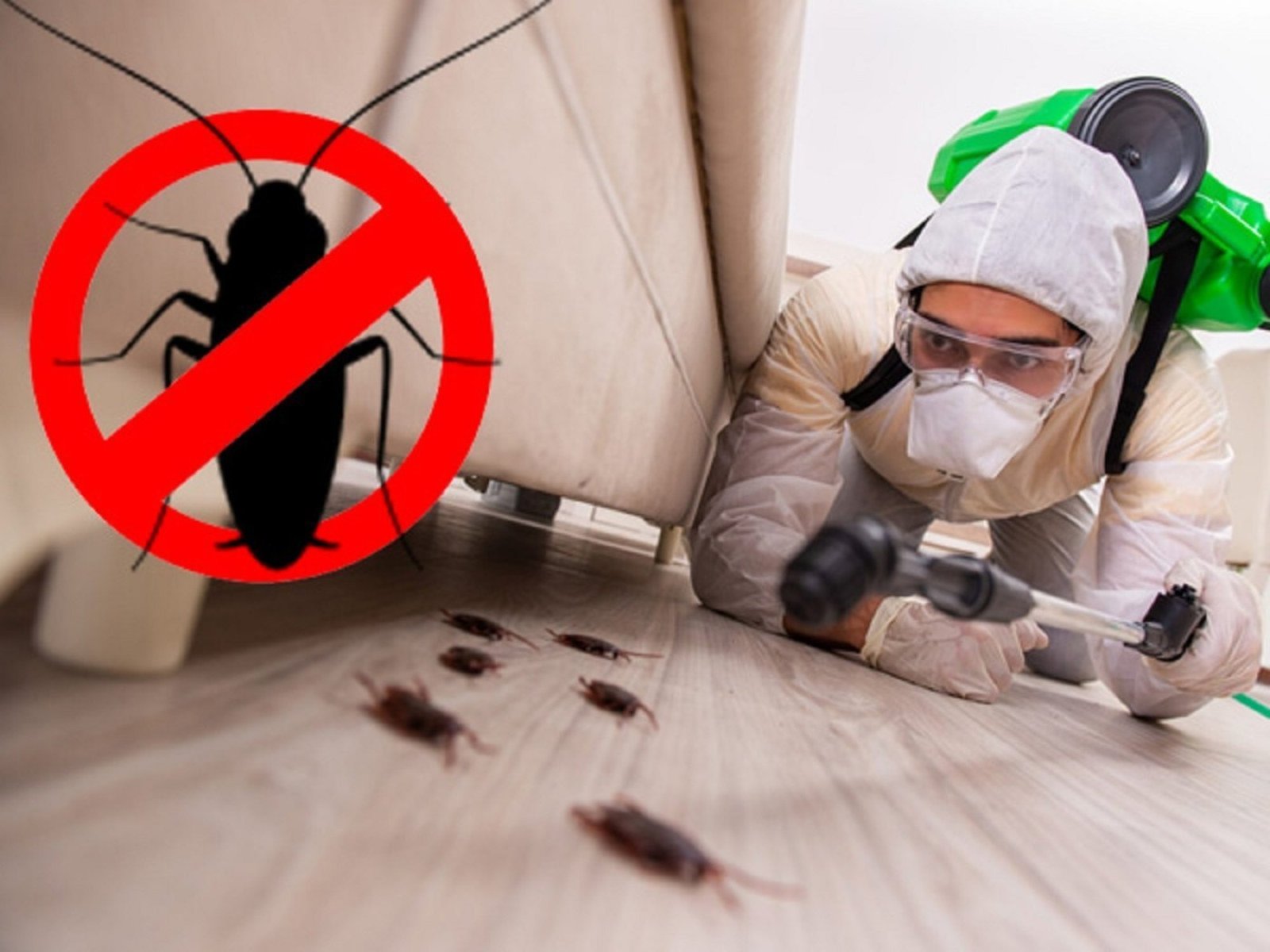 Cockroach Control - Professional Pest Control Service in India