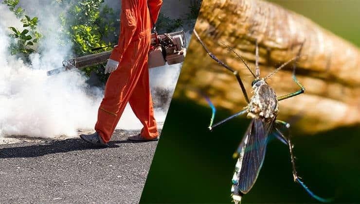Mosquito Control - Professional Pest Control Service in India